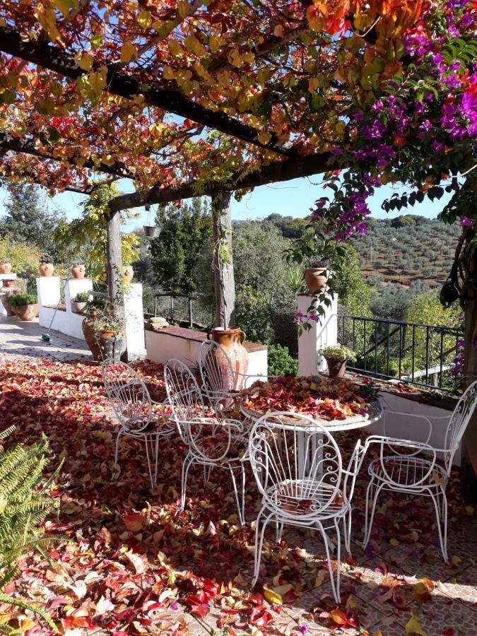 Villa Botero 콘스탄티나 외부 사진
